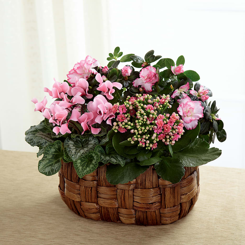 Pink Assortment – MAY'S FLORAL, Nevada MO