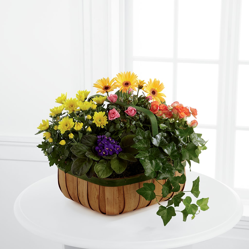 Gentle Blossoms Basket – MAY'S FLORAL, Nevada MO