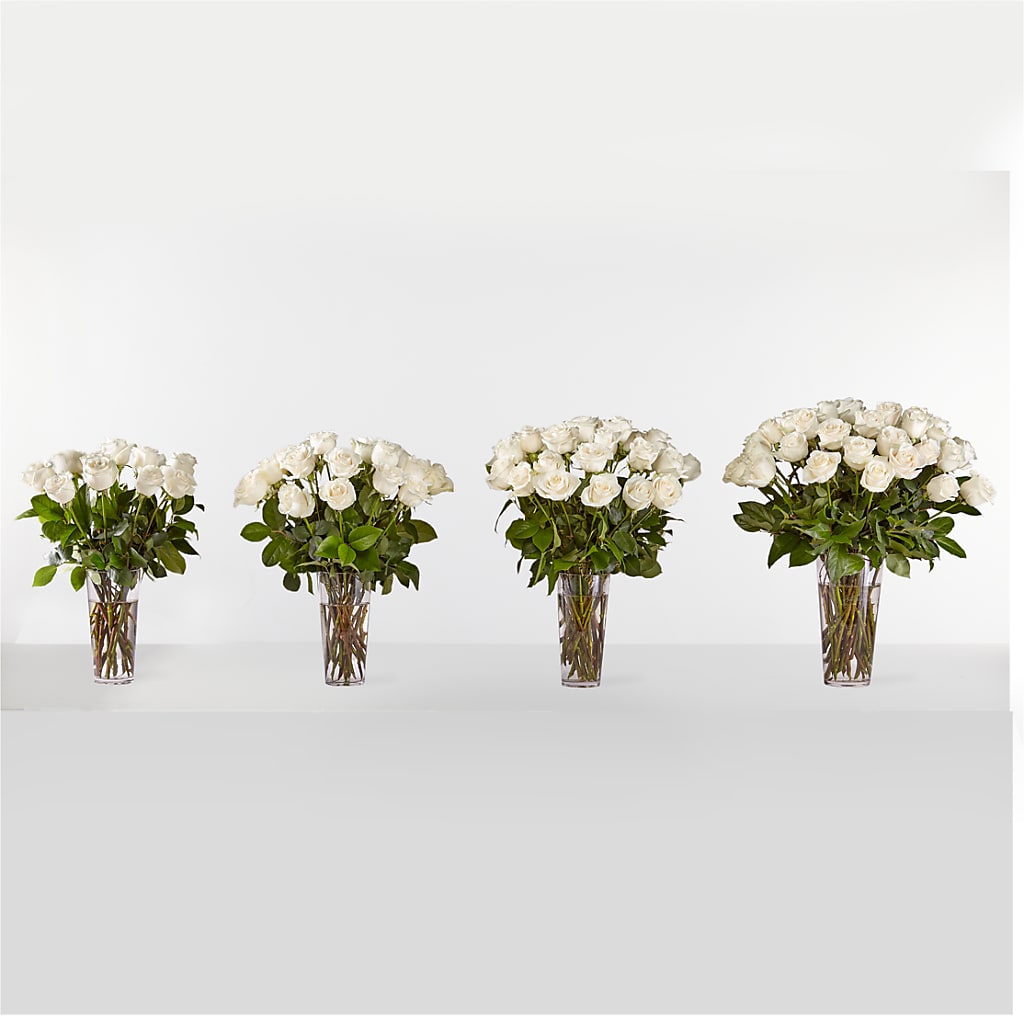 Long Stem White Rose Bouquet – MAY'S FLORAL, Nevada MO