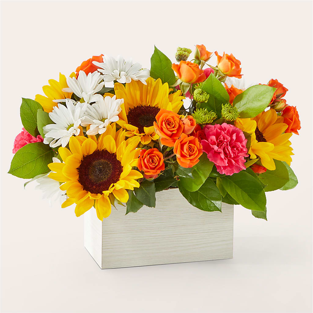 Sun-drenched Blooms Box Bouquet – MAY'S FLORAL, Nevada MO
