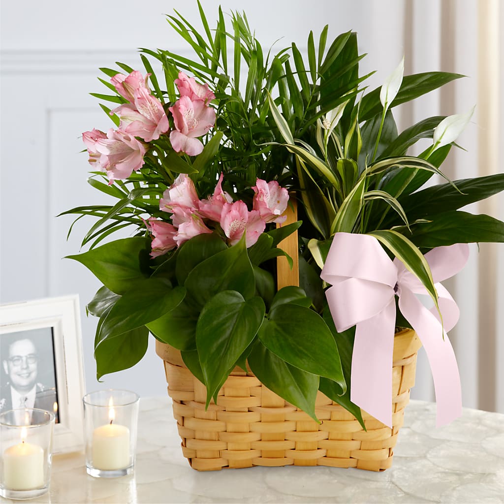 Living Spirit Dishgarden – MAY'S FLORAL, Nevada MO