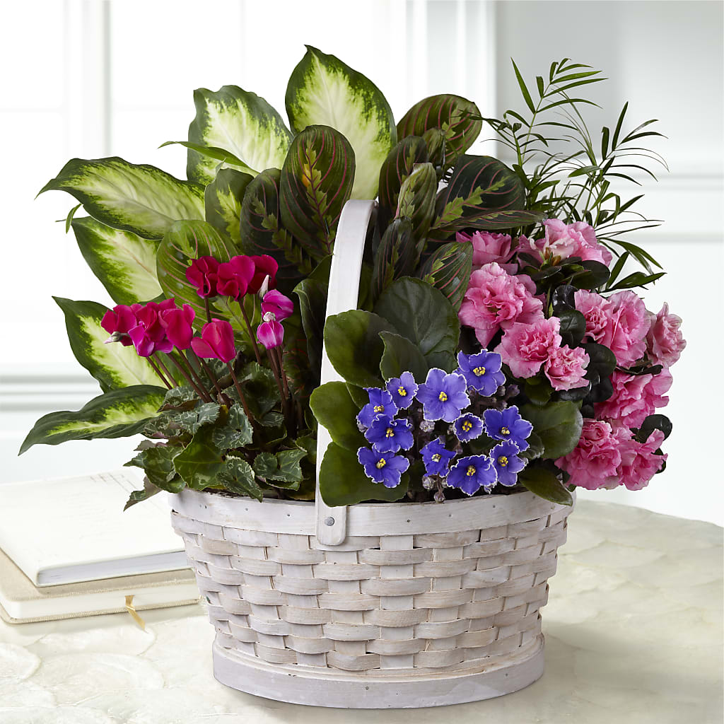 Peaceful Garden Planter – MAY'S FLORAL, Nevada MO