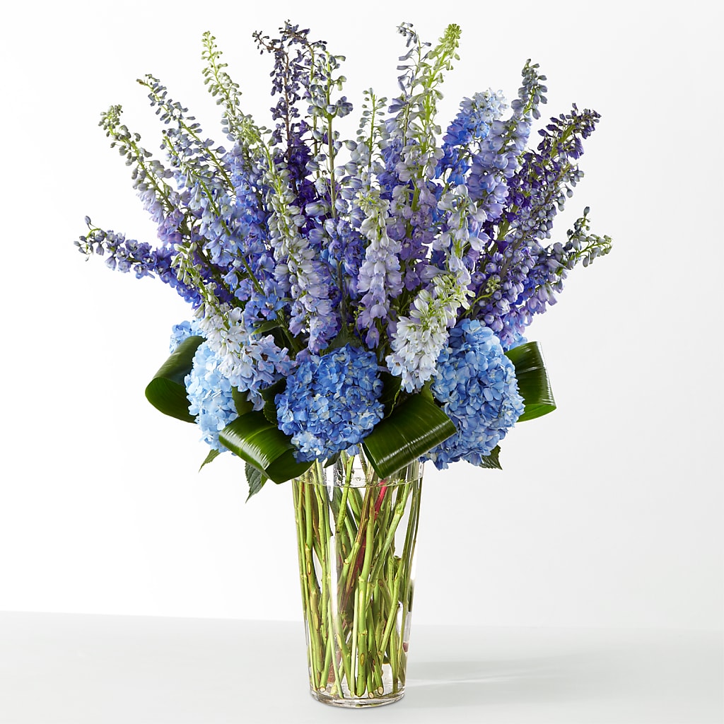 The Editorial – MAY'S FLORAL, Nevada MO