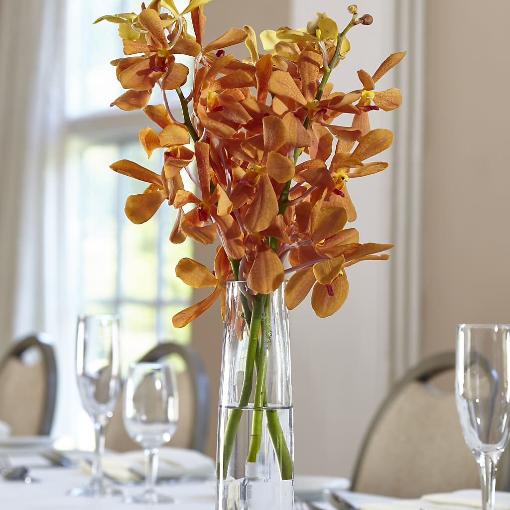 Orange Mokara Bud Vase – MAY'S FLORAL, Nevada MO