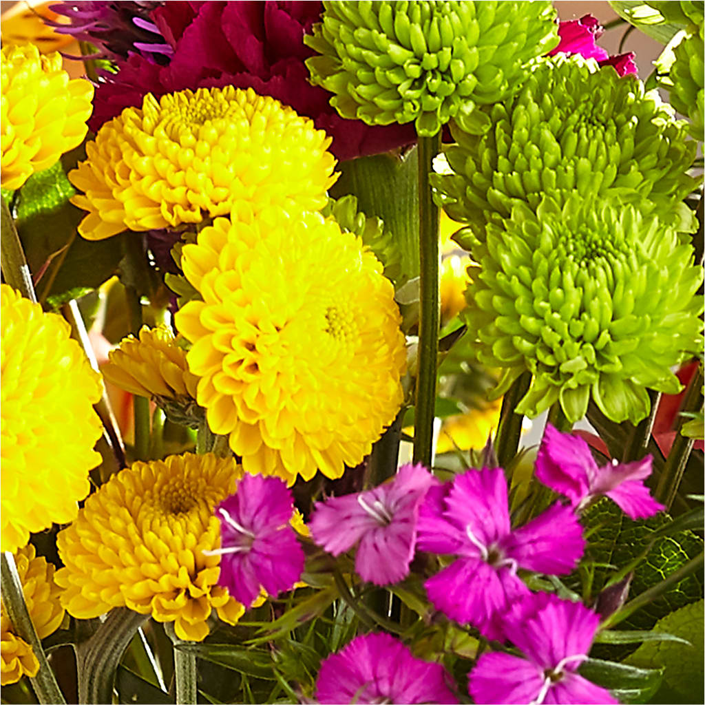 Bold & Bright – A Florist Original – MAY'S FLORAL, Nevada MO