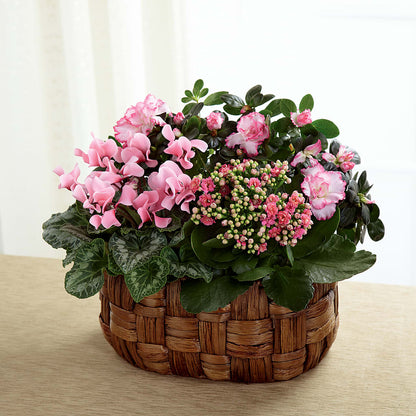 Pink Assortment – MAY'S FLORAL, Nevada MO