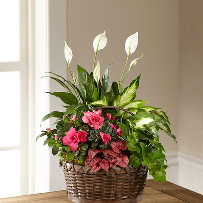 Dream in Pink Dishgarden – MAY'S FLORAL, Nevada MO
