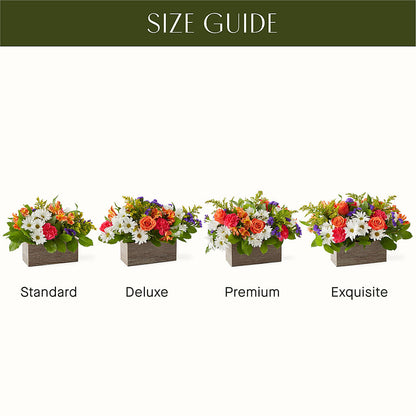 Oopsie Daisy Box Bouquet – MAY'S FLORAL, Nevada MO
