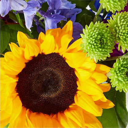 Catching Rays Bouquet – MAY'S FLORAL, Nevada MO