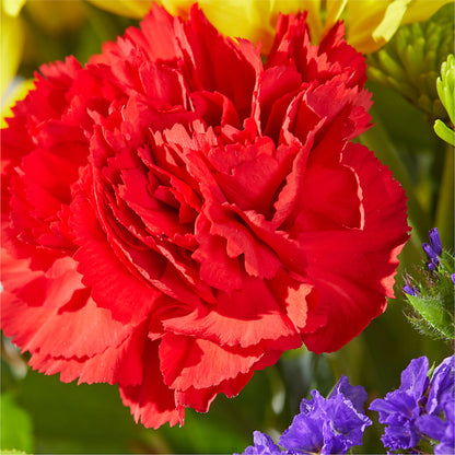 Brighter Days Bouquet – MAY'S FLORAL, Nevada MO