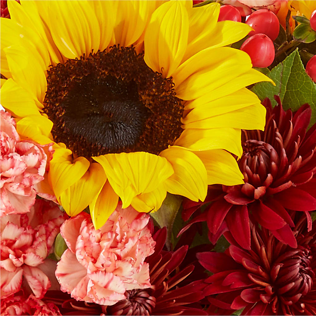 Fresh Cider Bouquet – MAY'S FLORAL, Nevada MO