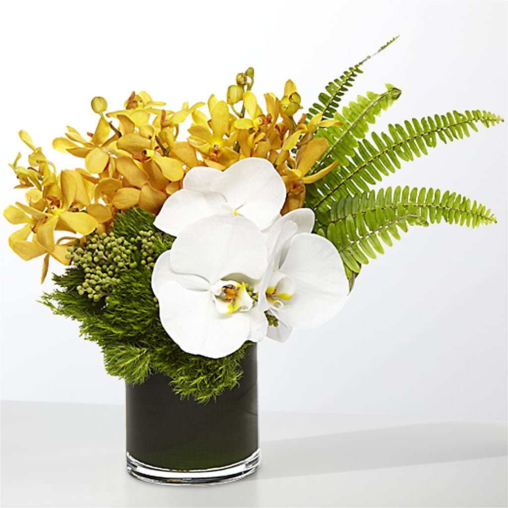 The Tropics – MAY'S FLORAL, Nevada MO