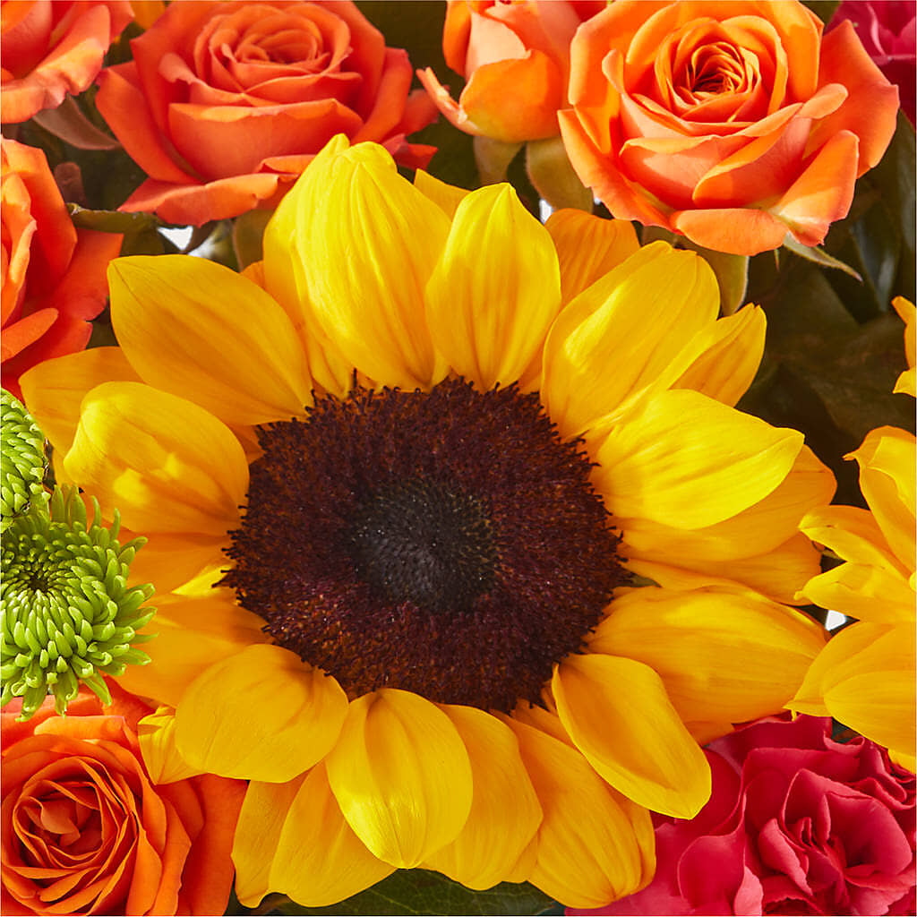 Sun-drenched Blooms Box Bouquet – MAY'S FLORAL, Nevada MO