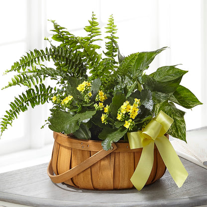 Always Dear Dishgarden – MAY'S FLORAL, Nevada MO