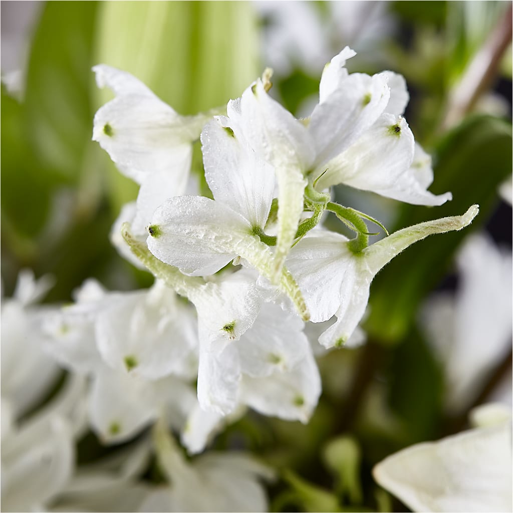Classic Ivory – A Florist Original – MAY'S FLORAL, Nevada MO