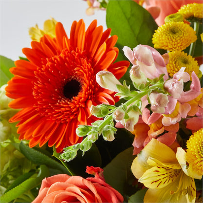 Autumn Sunshine Bouquet – MAY'S FLORAL, Nevada MO