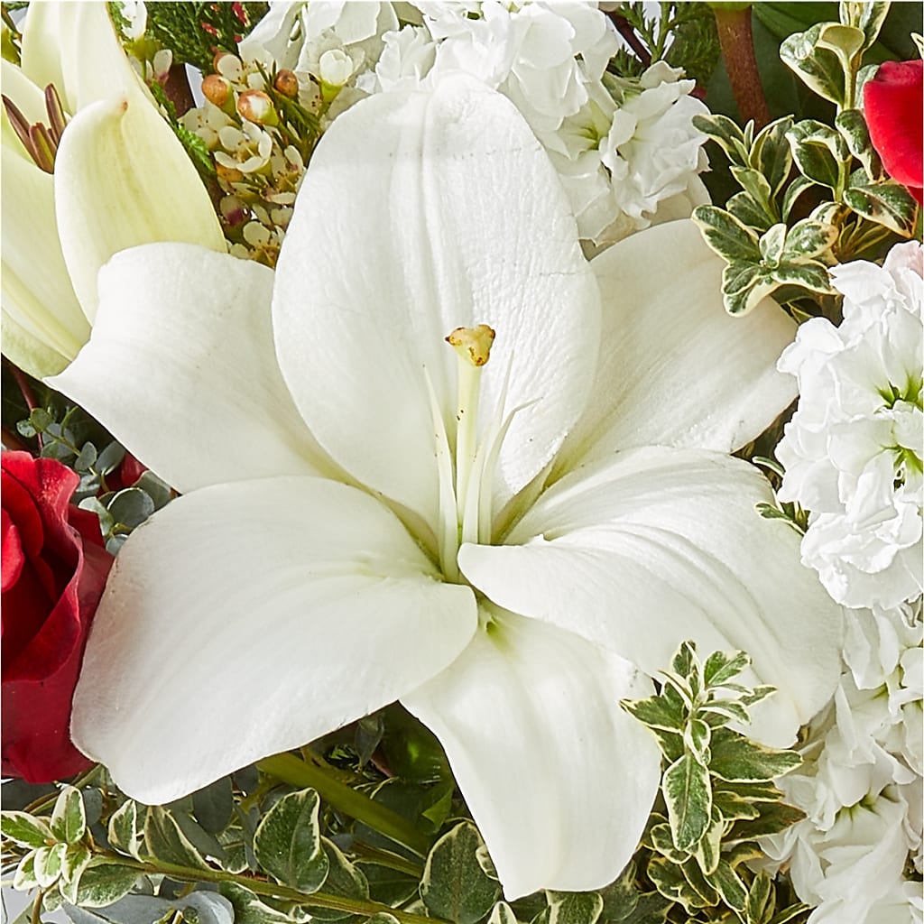Twinkle Lights Bouquet – MAY'S FLORAL, Nevada MO