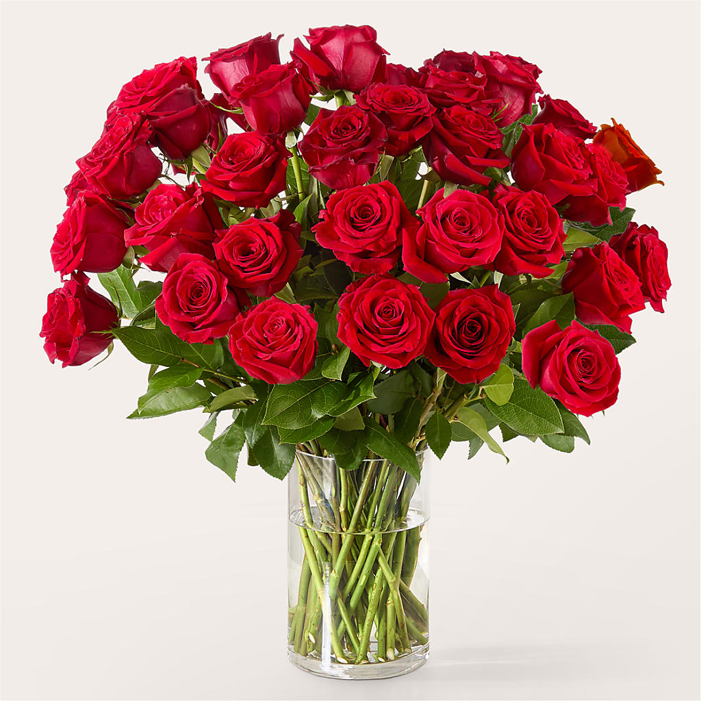 The One Red Rose Bouquet – MAY'S FLORAL, Nevada MO