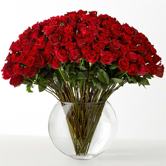 The Idealist – MAY'S FLORAL, Nevada MO