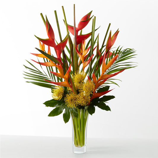 The Drama – MAY'S FLORAL, Nevada MO