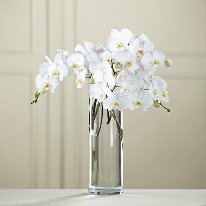 White Phalaenopsis Bouquet – MAY'S FLORAL, Nevada MO